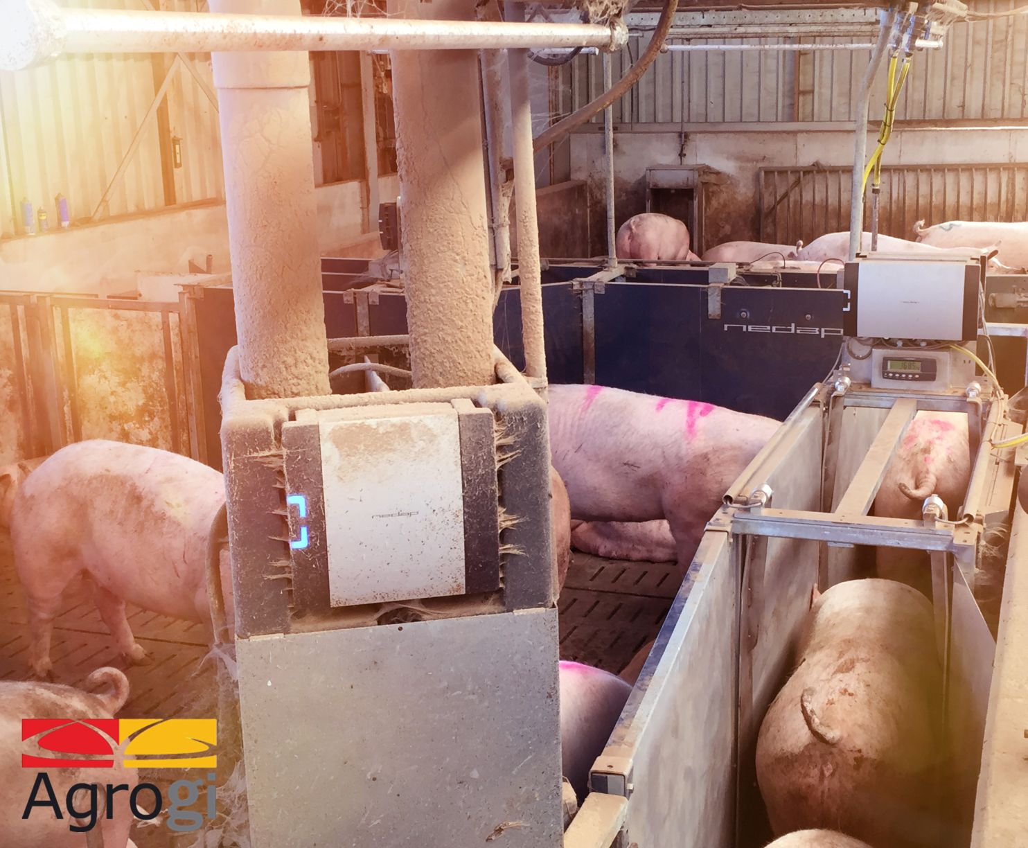 Productos - AGROPECUARIA GIRONA